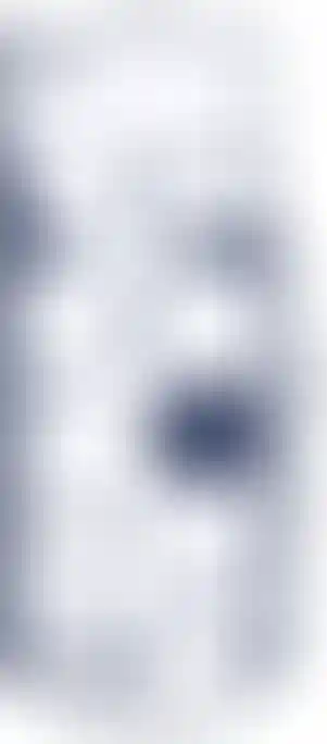 План