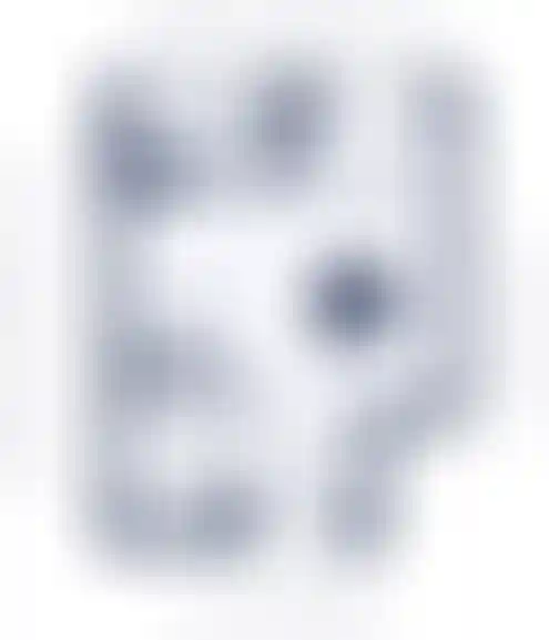 План