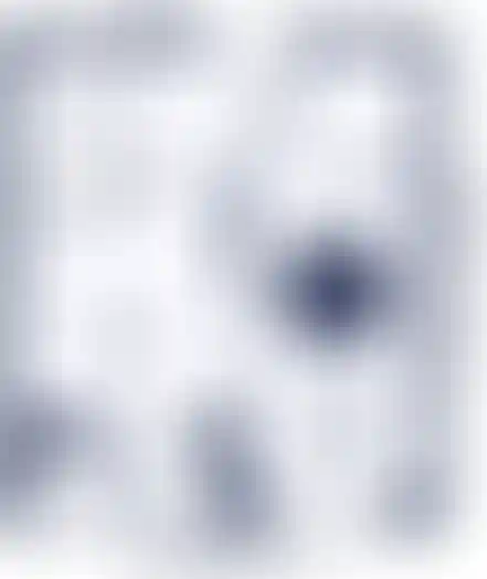 План