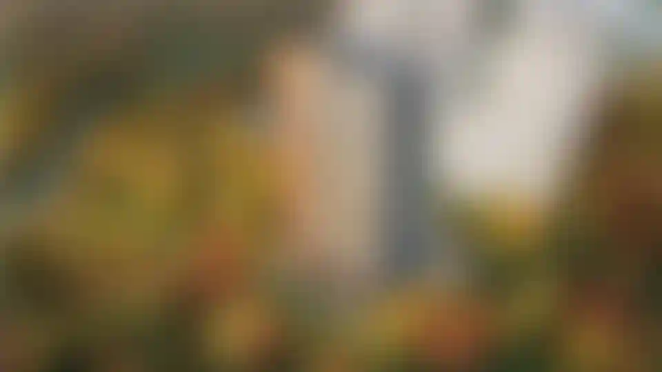 Изображение генплана