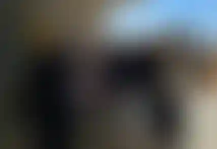 картинка для промо карточки