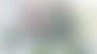 Публикация