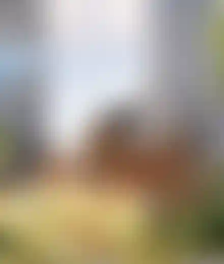 Изображение преимущества