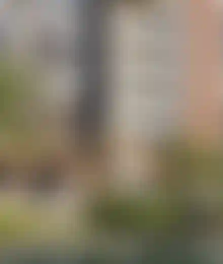 Изображение преимущества