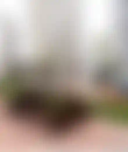 Изображение преимущества