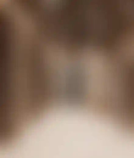 Изображение преимущества