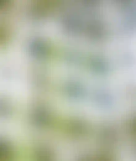 Изображение преимущества